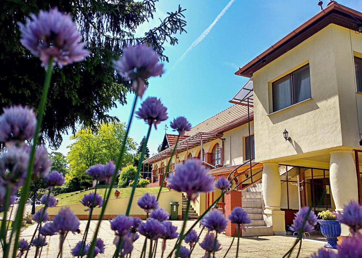 Villa Teleki Esterno foto