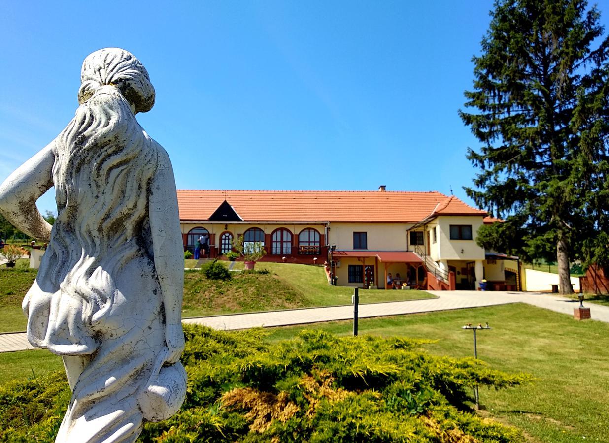 Villa Teleki Esterno foto