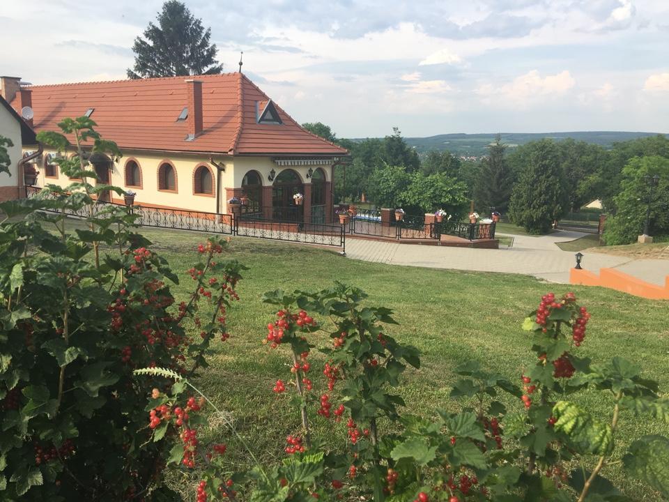 Villa Teleki Esterno foto